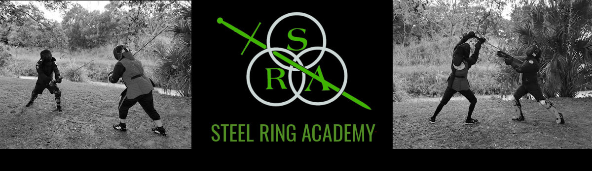 Fighters in Pflug and Vom Tag - Steel Ring Academy - Fighters in Combat